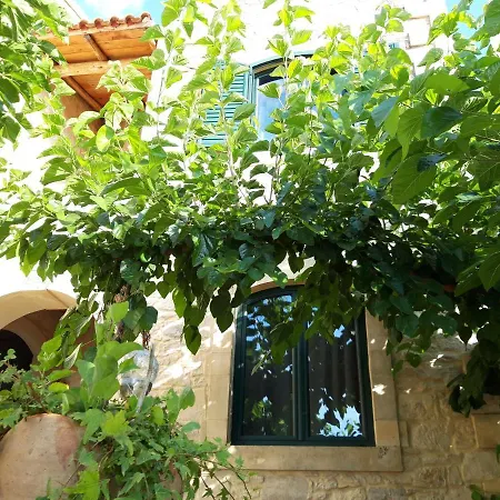Aloni Tatil Evi Margarítai
