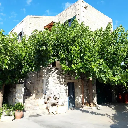 Tatil Evi Aloni Margarítai