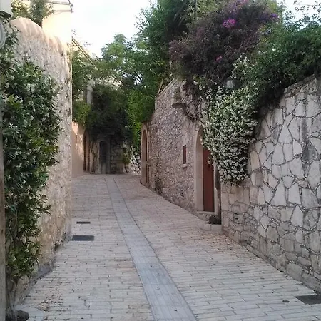 Aloni Tatil Evi *